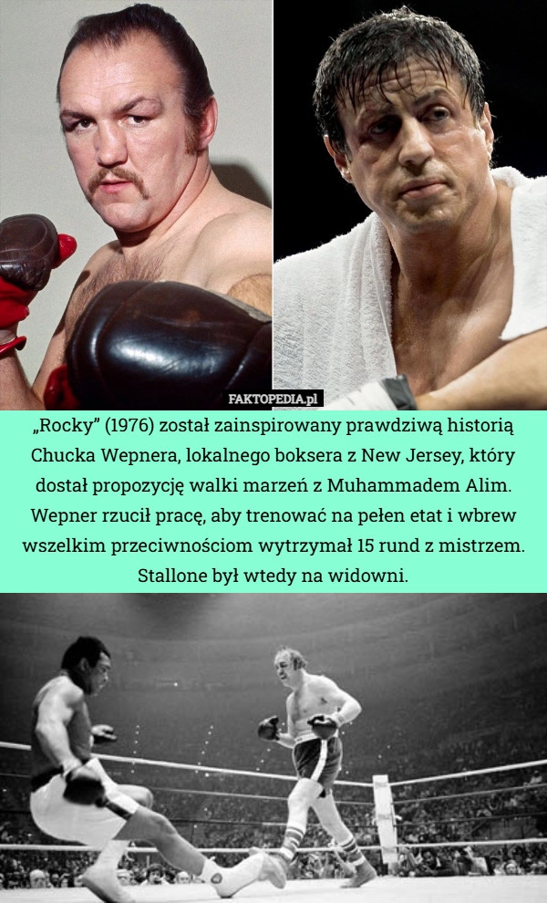 
    „Rocky” (1976) został zainspirowany prawdziwą historią Chucka Wepnera, lokalnego
