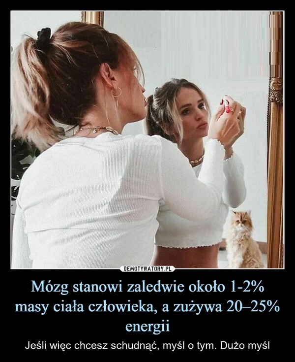 
    Mózg stanowi zaledwie około 1-2% masy ciała człowieka, a zużywa 20–25% energii