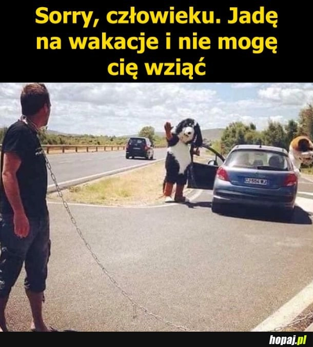 
    Wakacje