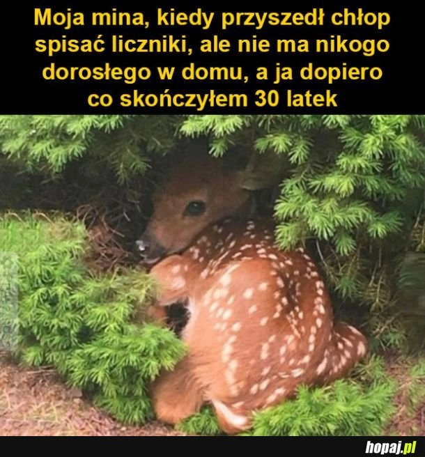 
    Mamo pomóż