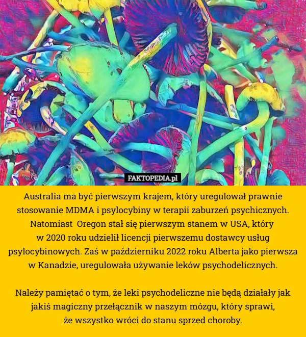 
    Australia ma być pierwszym krajem, który uregulował prawnie stosowanie MDMA