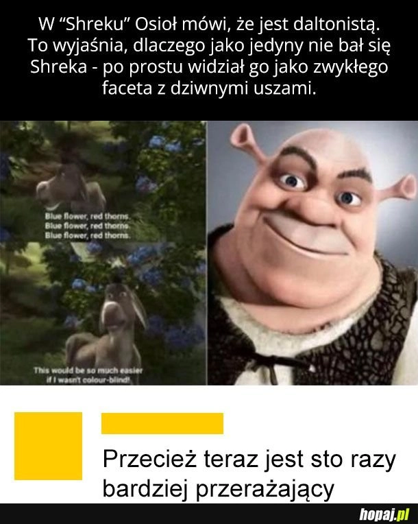 
    Zlękłem