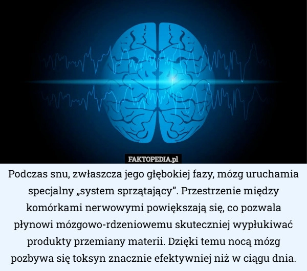 
    Podczas snu, zwłaszcza jego głębokiej fazy, mózg uruchamia specjalny „system...