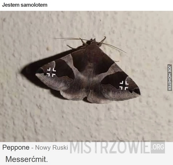 
    Jestem samolotem