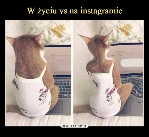 
    W życiu vs na instagramie