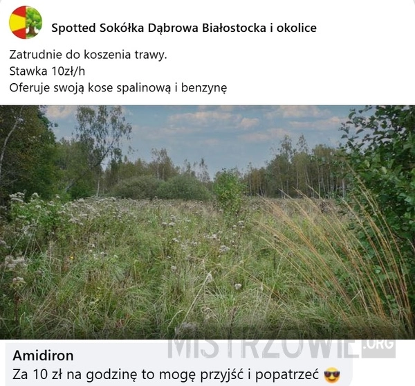 
    Koszenie trawy
