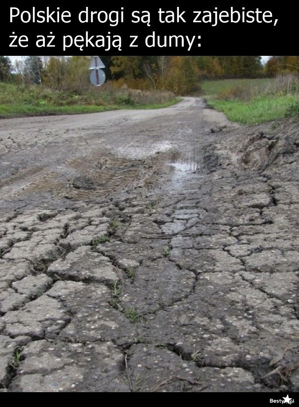 
    Polskie drogi 