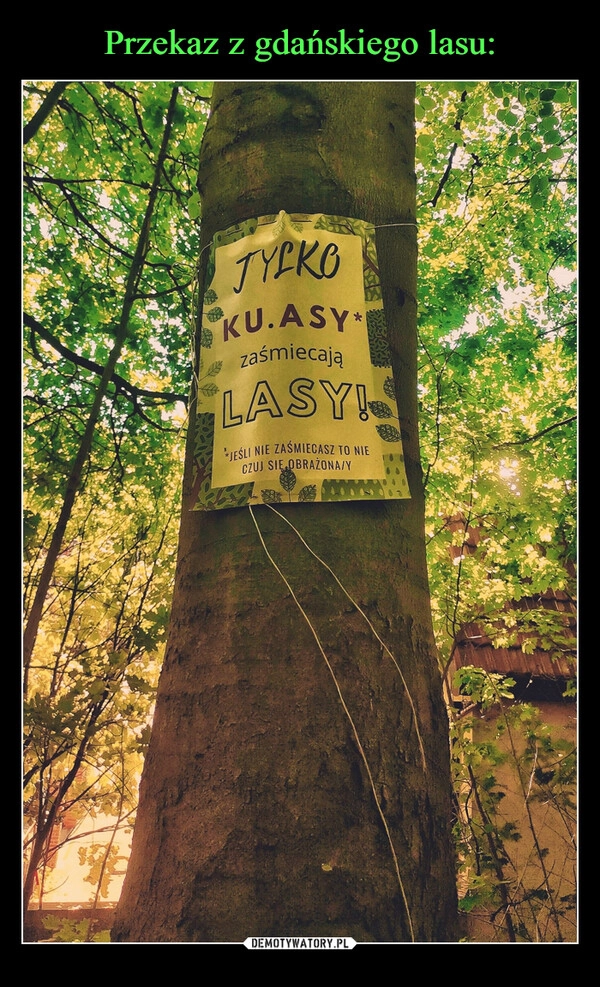 
    Przekaz z gdańskiego lasu: