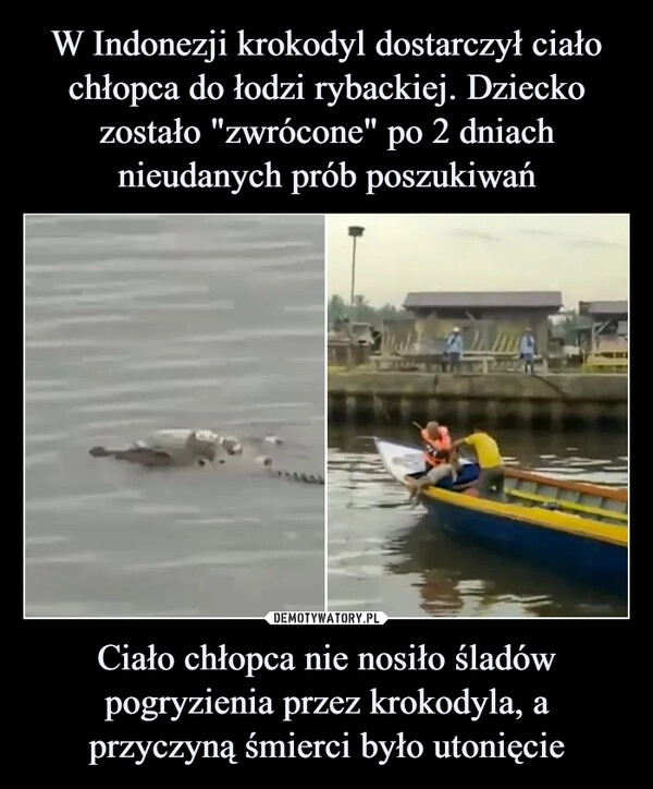 
    W Indonezji krokodyl dostarczył ciało chłopca do łodzi rybackiej. Dziecko zostało "zwrócone" po 2 dniach nieudanych prób poszukiwań Ciało chłopca nie nosiło śladów pogryzienia przez krokodyla, a przyczyną śmierci było utonięcie 