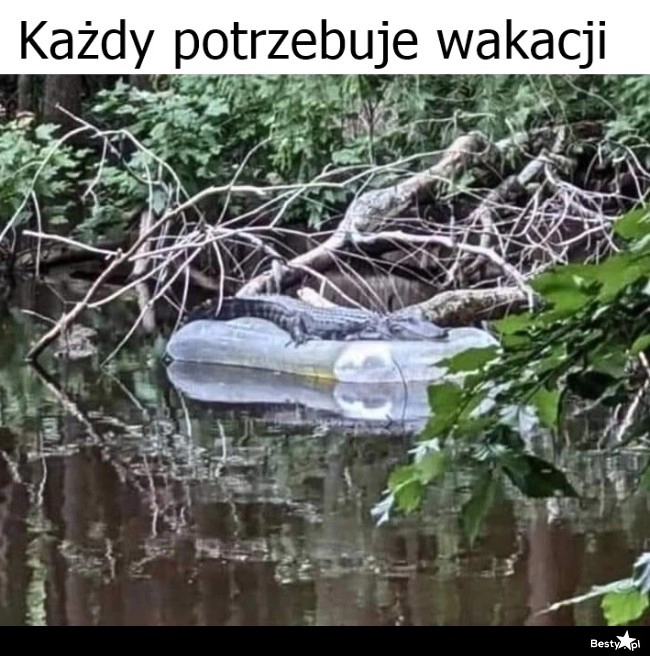 
    Wakacje 