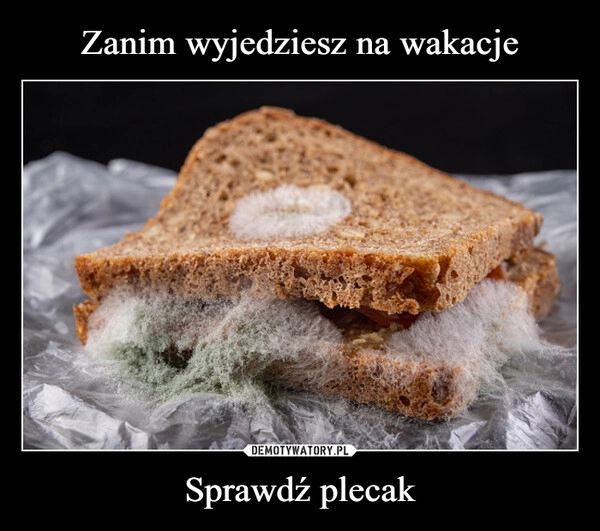 
    Zanim wyjedziesz na wakacje Sprawdź plecak