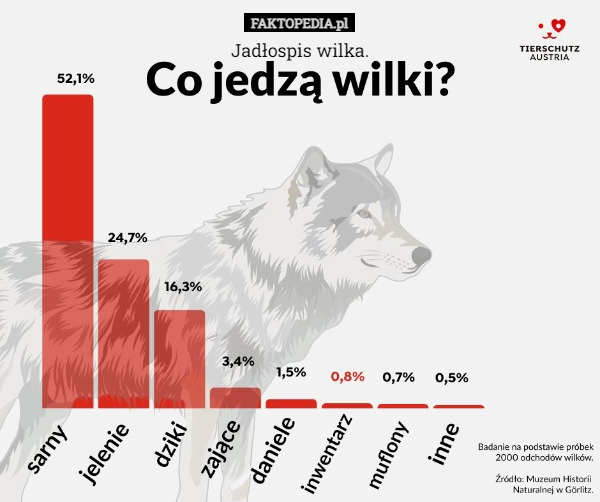 
    
			Jadłospis wilka.					