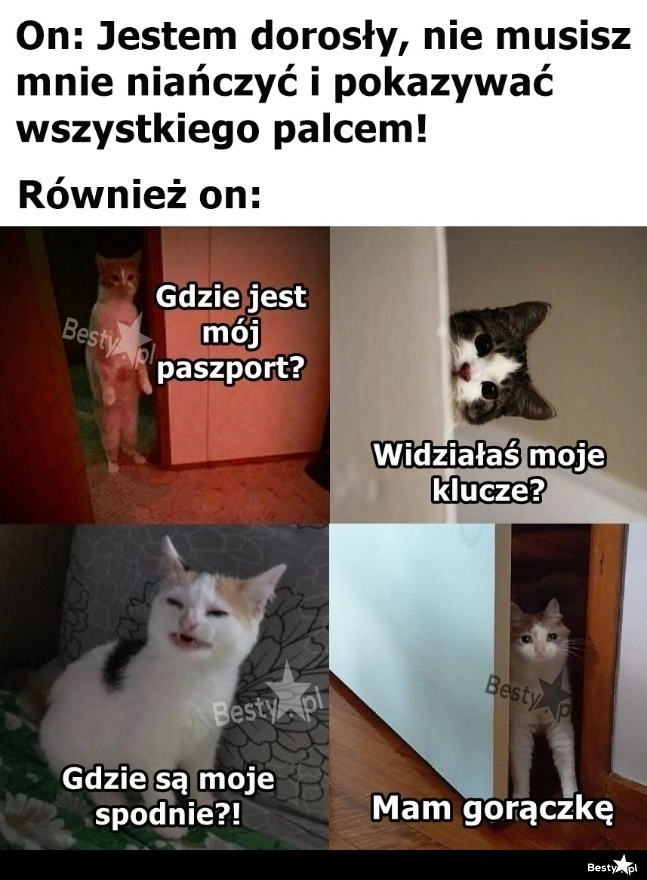 
    Zależy kiedy 