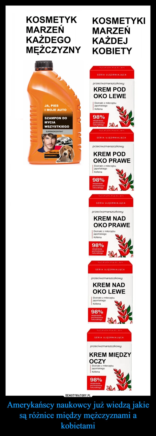 
    Amerykańscy naukowcy już wiedzą jakie są różnice między mężczyznami a kobietami