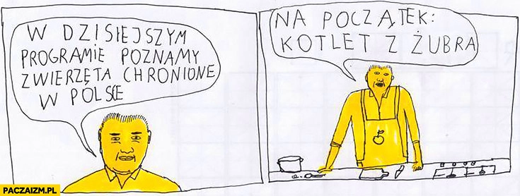 
    W dzisiejszym programie poznamy zwierzęta chronione w Polsce, na początek kotlet z Żubra Janek Koza