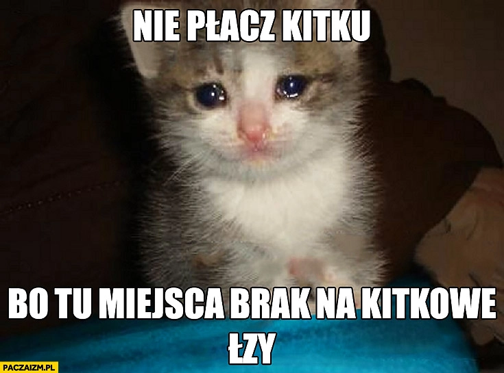 
    Nie płacz kitku bo tu miejsca brak na kitkowe łzy. Płaczący kot kotek