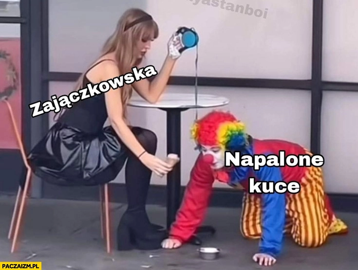 
    Zajączkowska vs napalone kuce klaun na smyczy