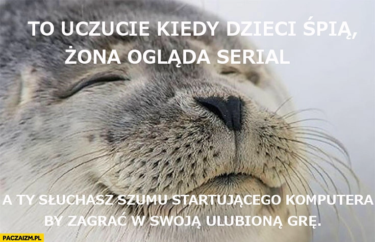 
    To uczucie dzieci śpią żona ogląda serial słuchasz szumu startujacego komputera by zagrać w swoją ulubioną grę