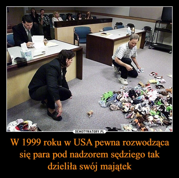 
    W 1999 roku w USA pewna rozwodząca się para pod nadzorem sędziego tak dzieliła swój majątek