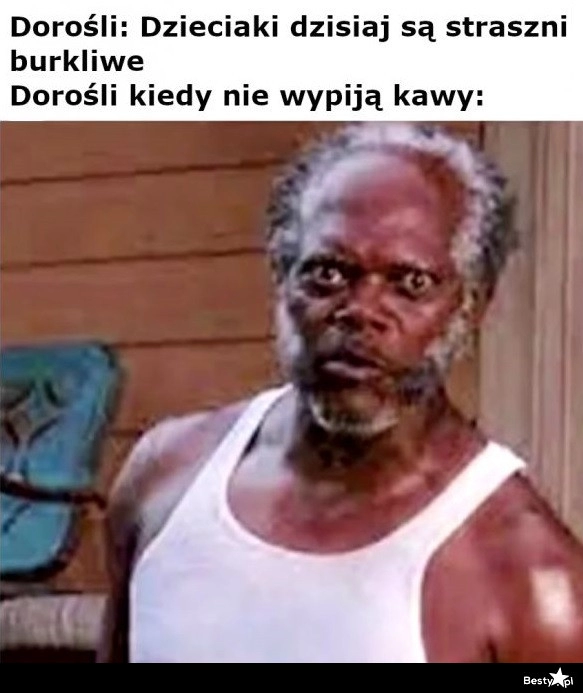 
    Dorośli 