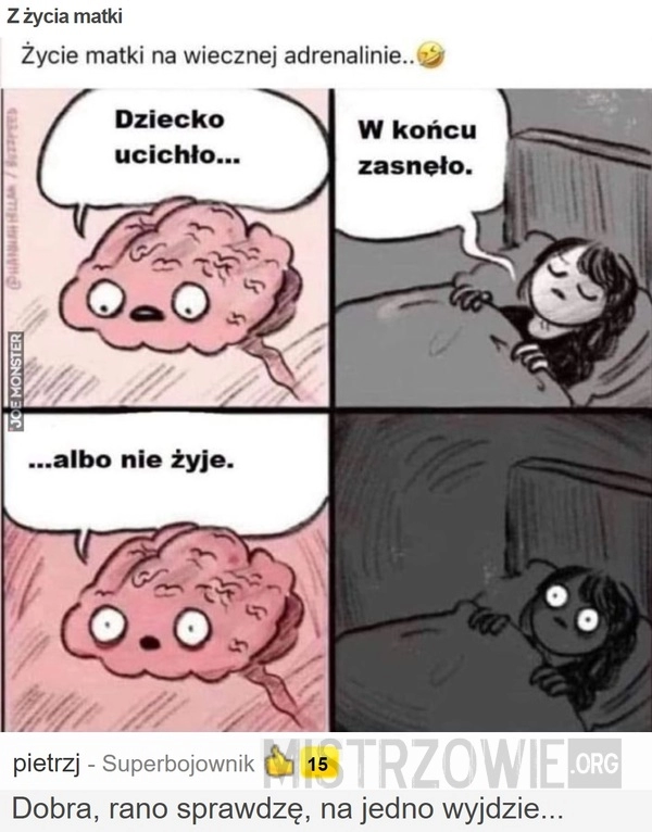 
    
			Z życia matki					