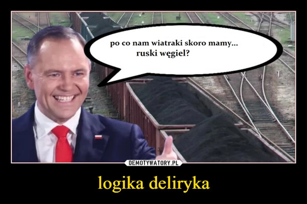 
    logika deliryka