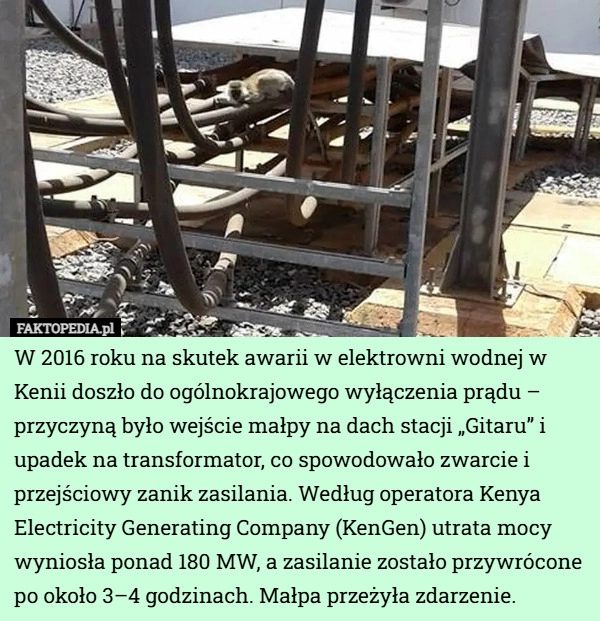 
    W 2016 roku na skutek awarii w elektrowni wodnej w Kenii doszło do ogólnokrajowego...