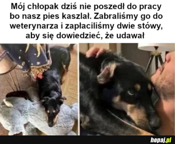 
    Chciał żeby zostali w domu