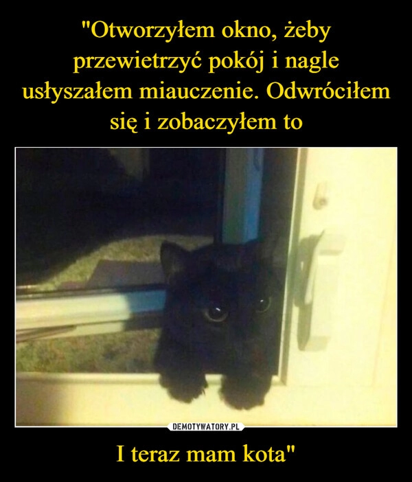 
    "Otworzyłem okno, żeby przewietrzyć pokój i nagle usłyszałem miauczenie. Odwróciłem się i zobaczyłem to I teraz mam kota"