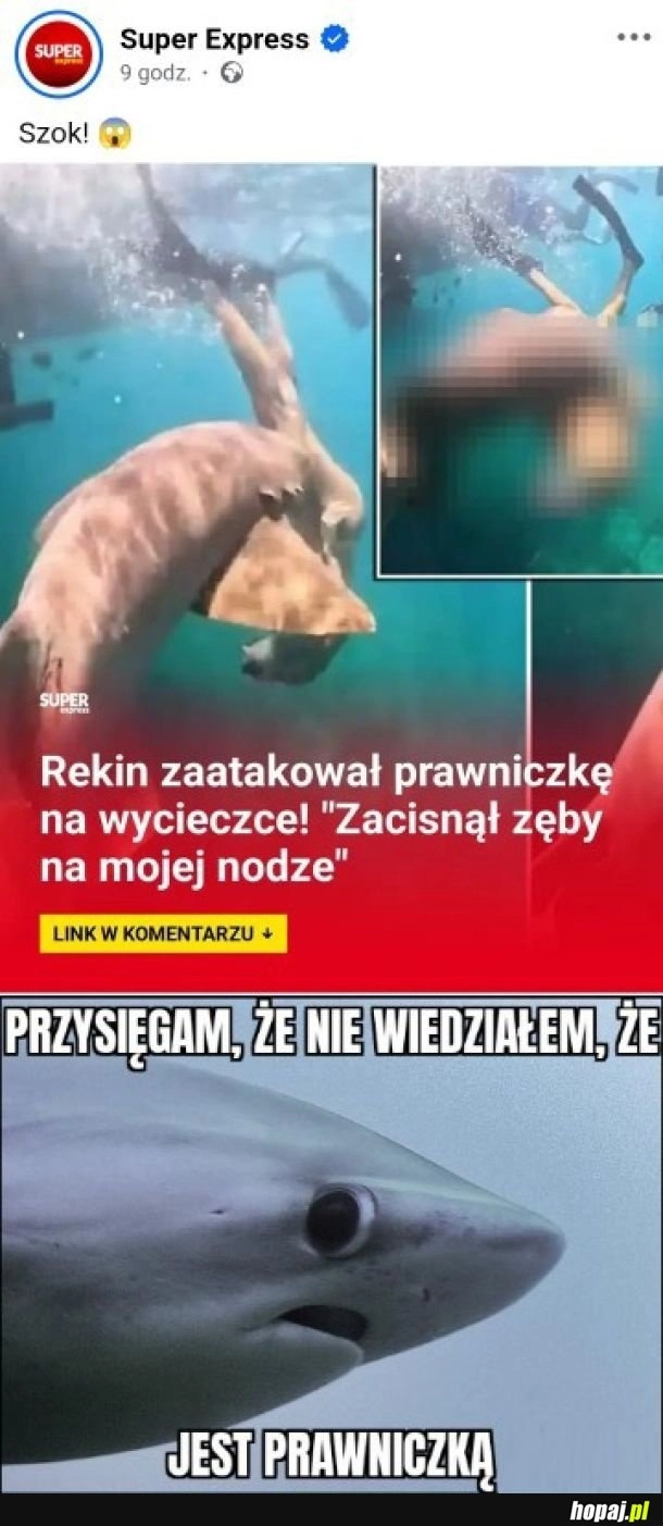 
    Rekin nie wiedział