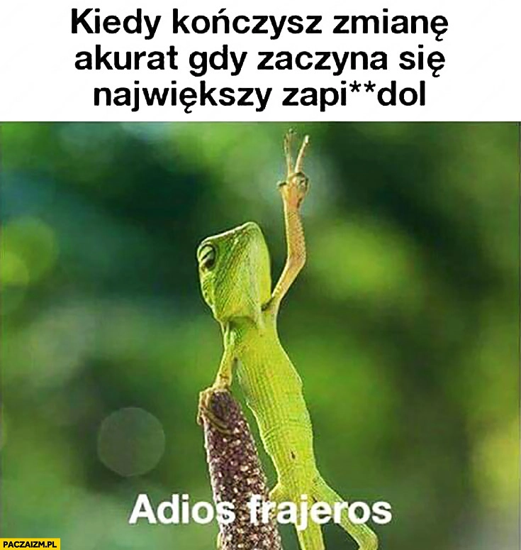 
    Kiedy kończysz zmianę akurat gdy zaczyna się największy zapierdziel adios frajeros