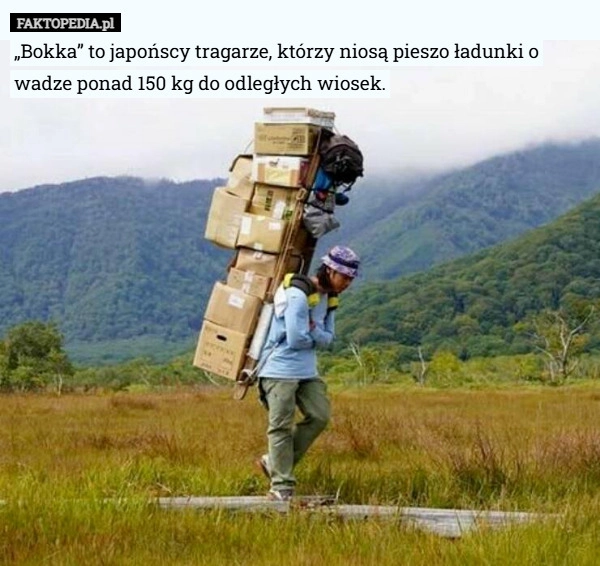 
    „Bokka” to japońscy tragarze, którzy niosą pieszo ładunki o wadze ponad
