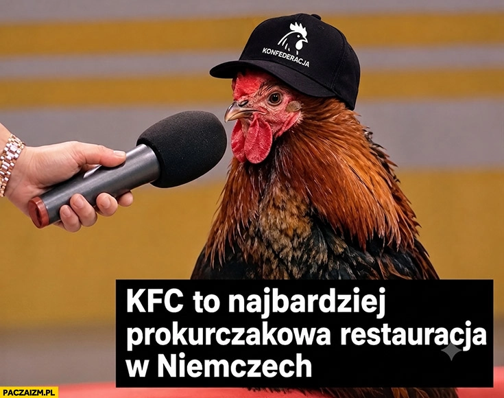 KFC to najbardziej prokurczakowa restauracja w Niemczech kura AfD Konfederacja
