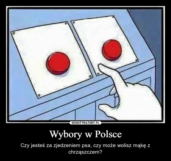 
    Wybory w Polsce