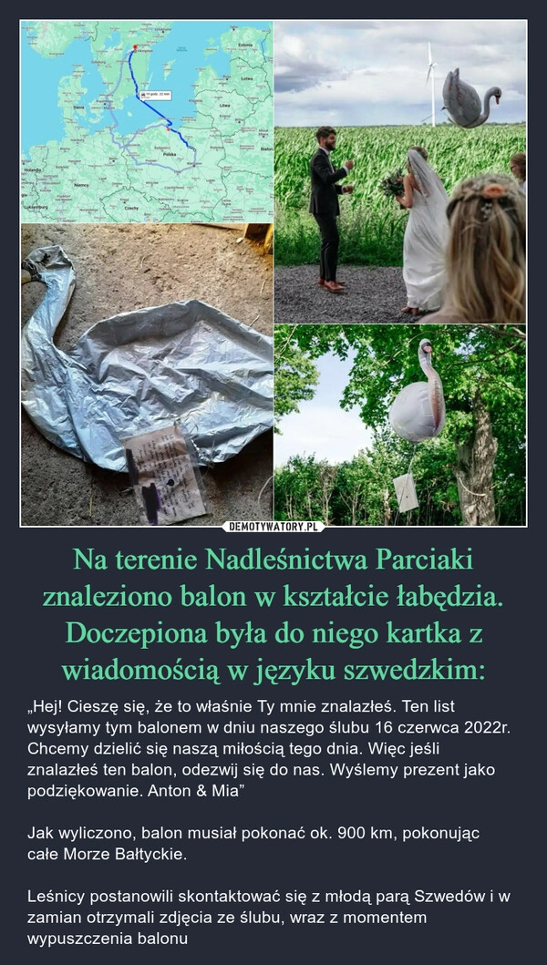 
    Na terenie Nadleśnictwa Parciaki znaleziono balon w kształcie łabędzia. Doczepiona była do niego kartka z wiadomością w języku szwedzkim: