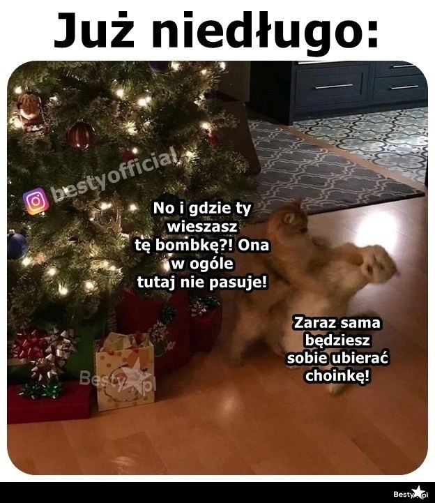 
    Już niedługo 