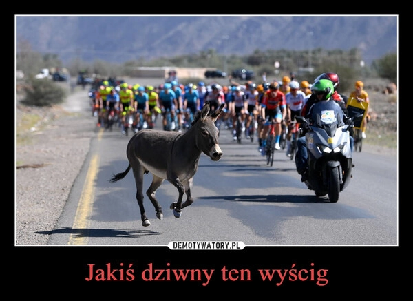 
    Jakiś dziwny ten wyścig
