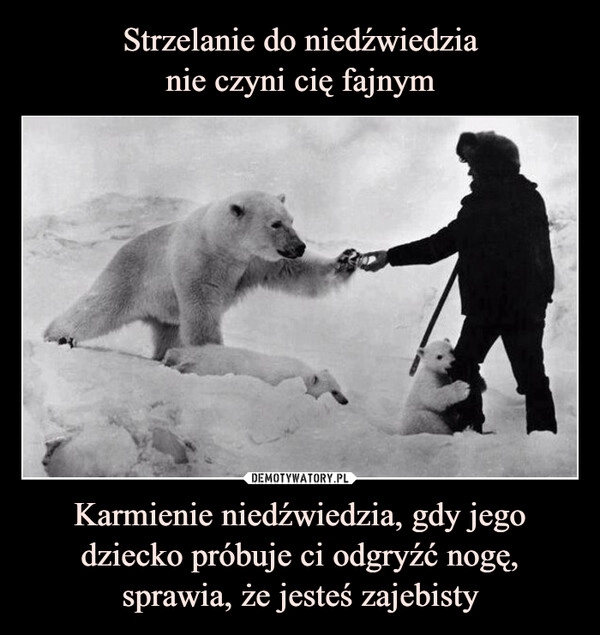 
    Strzelanie do niedźwiedzia
nie czyni cię fajnym Karmienie niedźwiedzia, gdy jego dziecko próbuje ci odgryźć nogę, sprawia, że jesteś zajebisty