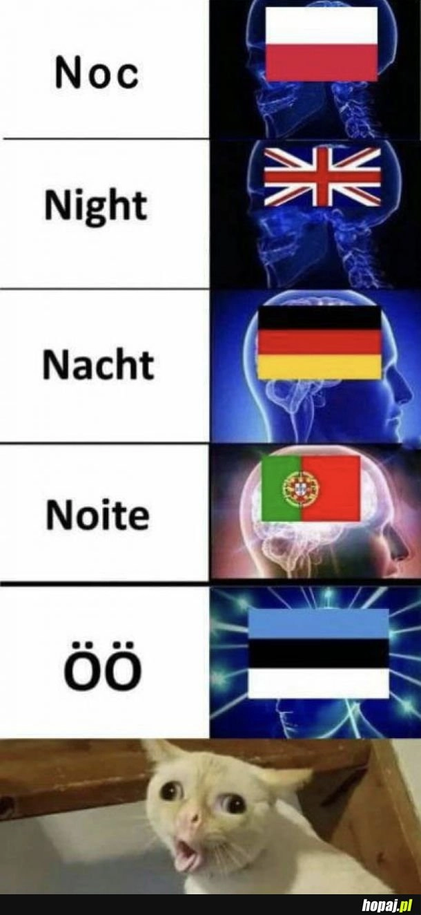 
    Ciekawe jak się wymawia