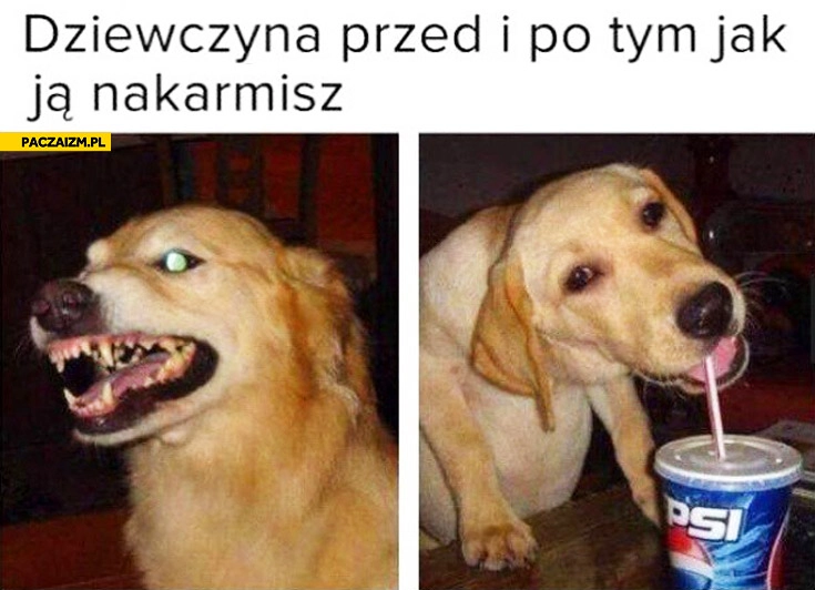 
    Dziewczyna przed i po tym jak ją nakarmisz