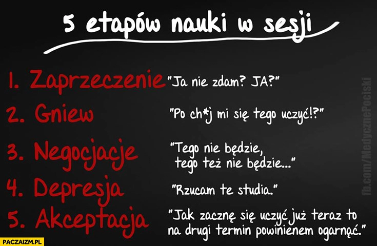 
    5 etapów nauki w sesji zaprzeczenie gniew negocjacje depresja akceptacja