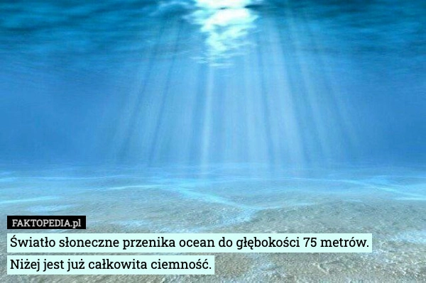 
    Światło słoneczne przenika ocean do głębokości 75 metrów.
Niżej jest już