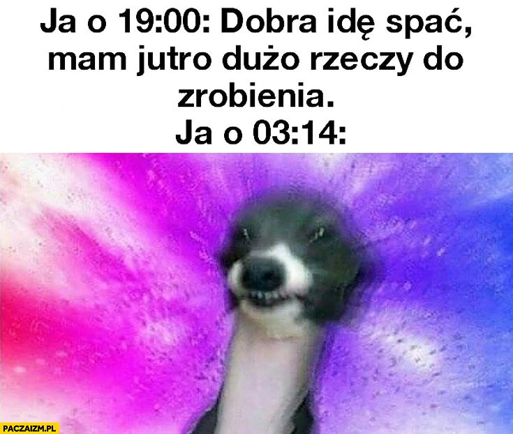 
    Ja o 19:00: dobra idę spać, mam jutro dużo rzeczy do zrobienia. Ja o 03:14 na fazie pies