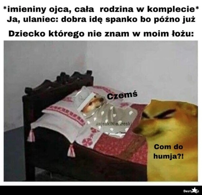 
    Rozgościli się 