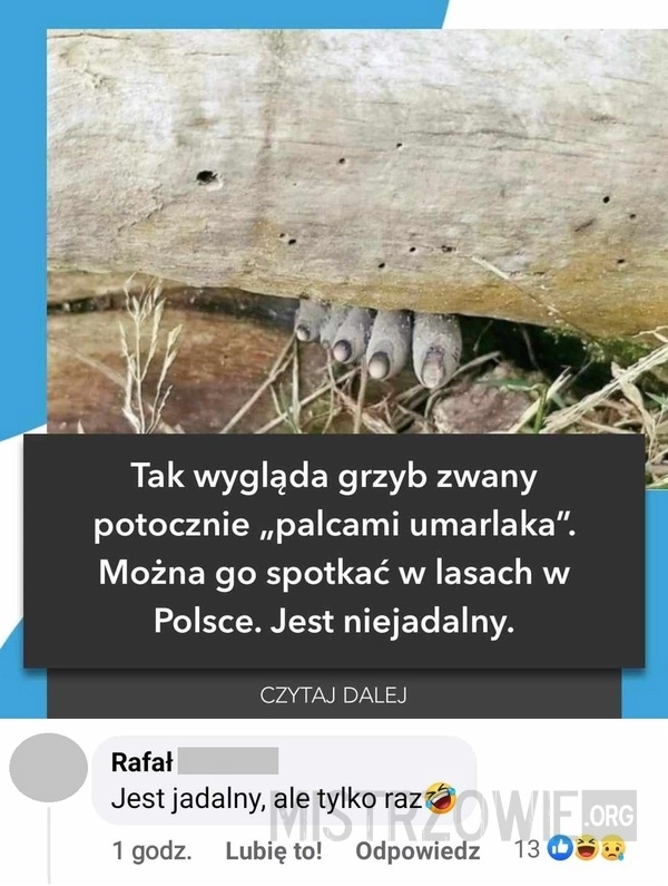 
    Palce umarlaka