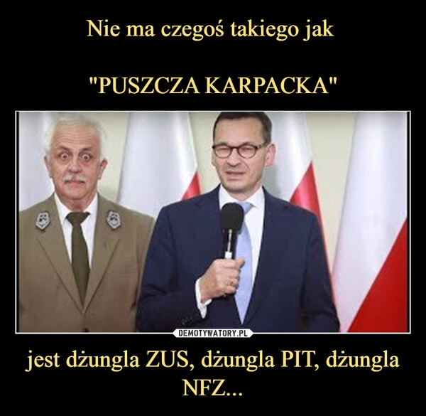 
    Nie ma czegoś takiego jak 

"PUSZCZA KARPACKA" jest dżungla ZUS, dżungla PIT, dżungla NFZ...