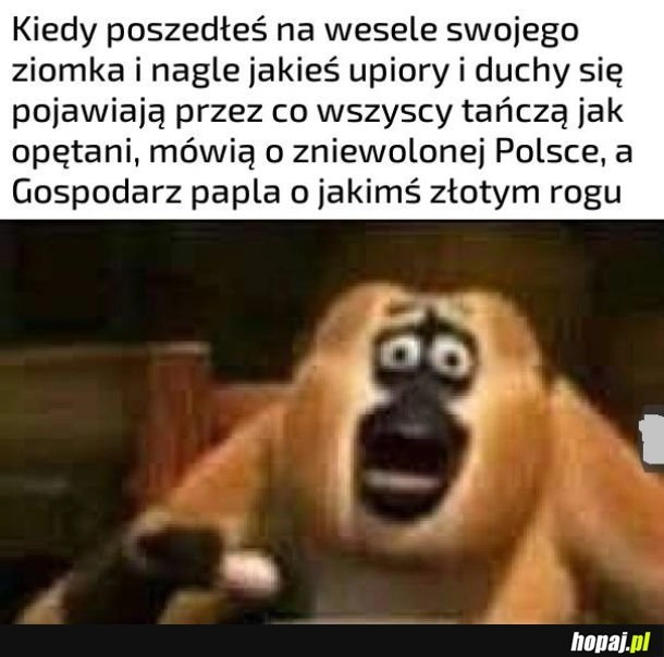 
    Miałeś chamie złoty róg