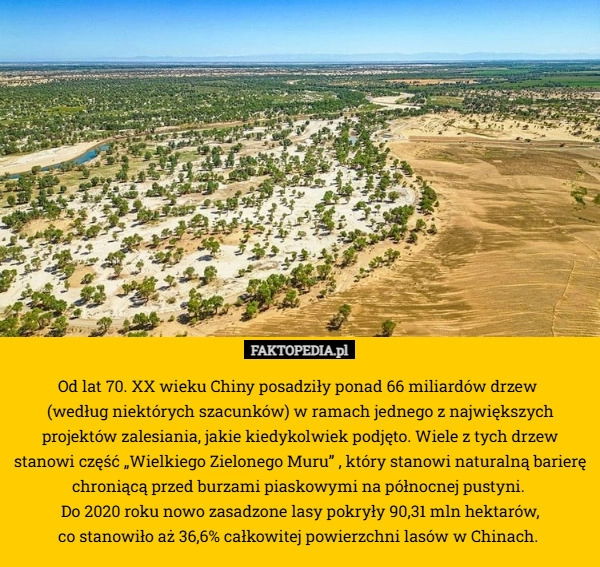 
    Od lat 70. XX wieku Chiny posadziły ponad 66 miliardów drzew 
(według niektórych