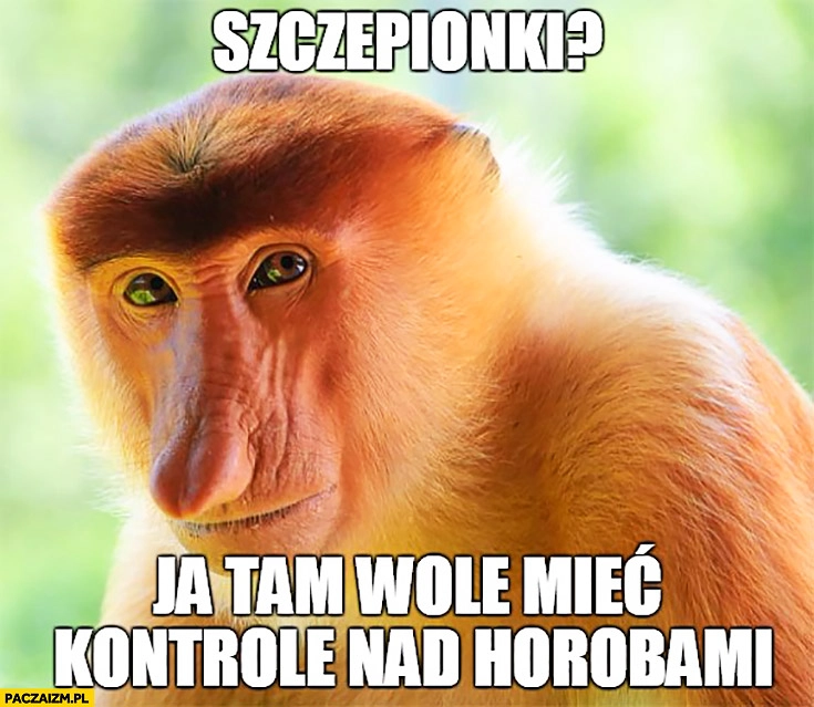 
    Szczepionki? Ja tam wolę mieć kontrolę nad chorobami. Typowy Polak nosacz małpa