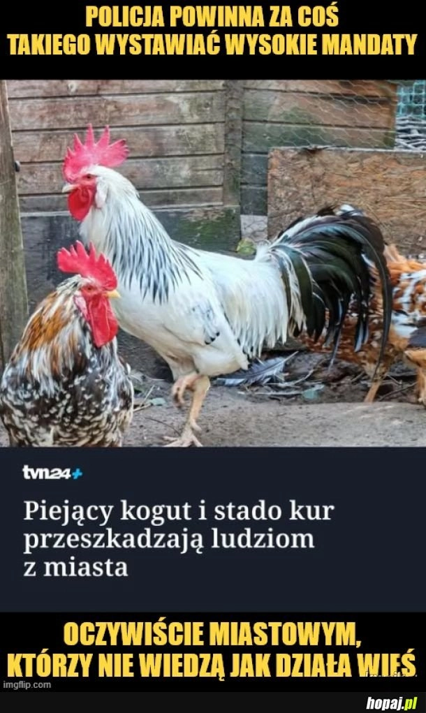 Wieś.